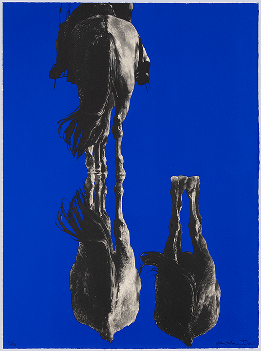 Zwei Hengste, 2025, 80x60 cm, Siebdruck auf Papier.png